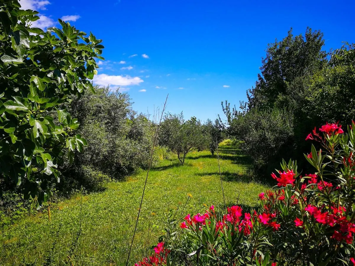 Lodge Villa Ecohouse Oliveglia Šilo Kroatien