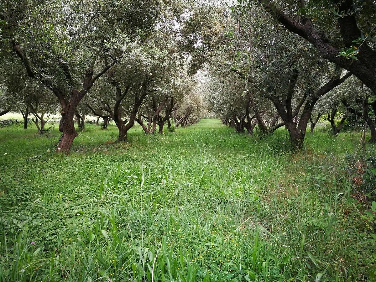 Villa Ecohouse Oliveglia Šilo Lodge